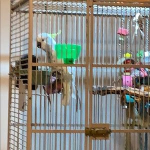 Meet your Posher, Glenda